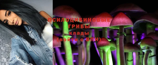 MDMA Premium VHQ Михайловка
