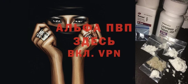 твердый Михайлов