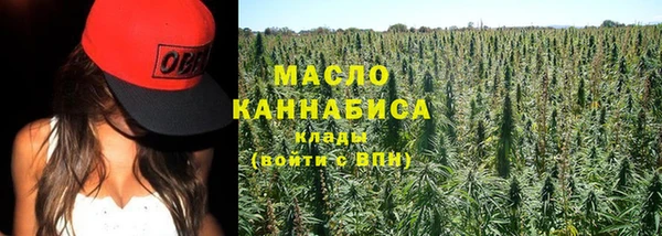 твердый Михайлов