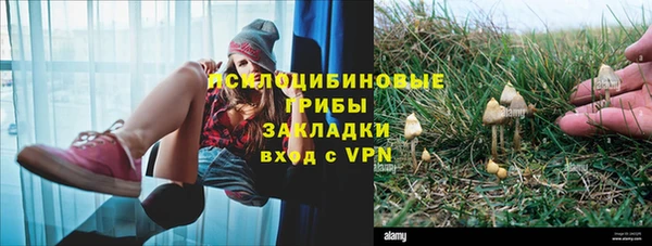 MDMA Premium VHQ Михайловка