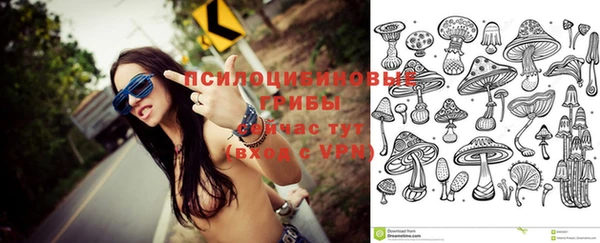 твердый Михайлов