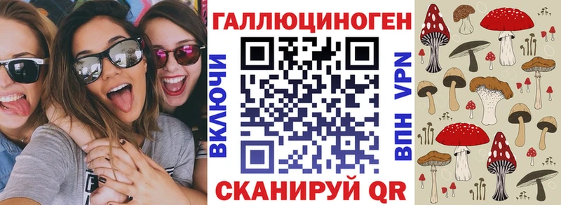 Купить где  Коммунар  Псилоцибиновые грибы мицелий 